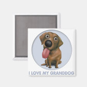 Labrador Retriever (chocolade) Granddog Magneet (Voorkant / Achterkant)