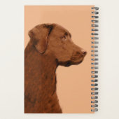 Labrador Retriever (Chocolade) schilderen - Dog Ar Planner (Achterkant)
