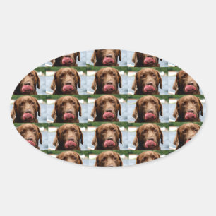 Labrador Retriever Chocolade Tegels BG Ovale Sticker