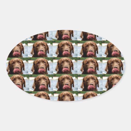 Labrador Retriever Chocolade Tegels BG Ovale Sticker (Voorkant)