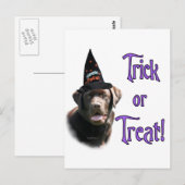 Labrador Retriever (chocolade) Trick Briefkaart (Voorkant / Achterkant)