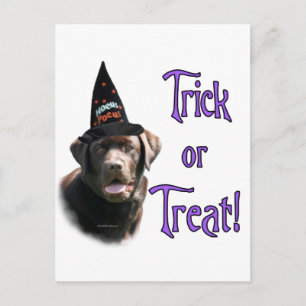 Labrador Retriever (chocolade) Trick Briefkaart