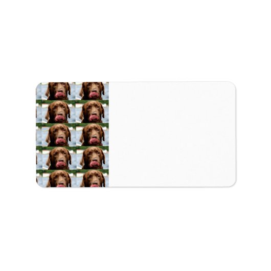 Labrador Retriever Chocolate Tiles BG Etiket (Voorkant)
