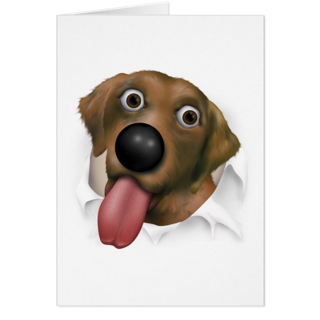 Labrador Retriever (Chocolate), uitgestoten (Voorkant)