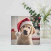 Labrador Retriever Christmas (Staand voorkant)