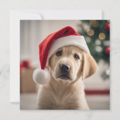 Labrador Retriever Christmas (Voorkant)