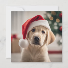 Labrador Retriever Christmas