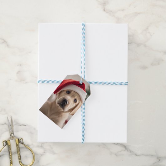 Labrador Retriever Christmas Cadeaulabel (Met Touw)