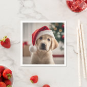 Labrador Retriever Christmas Servet (Insitu)