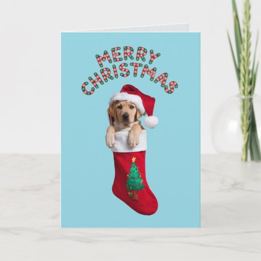 Labrador Retriever Christmas Stocking Kaart (Voorkant)
