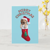 Labrador Retriever Christmas Stocking Kaart (Gele Bloem)