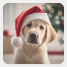 Labrador Retriever Christmas