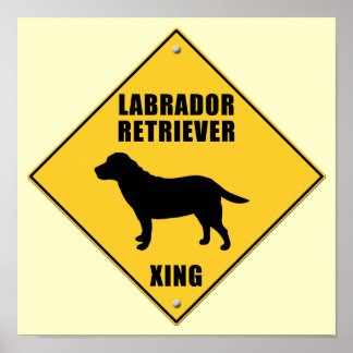 Labrador Retriever Crossing (XING)-teken Poster
