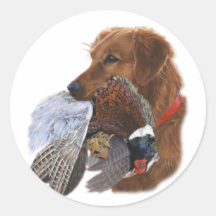 Labrador Retriever De Ultieme Vogelhond Ronde Sticker