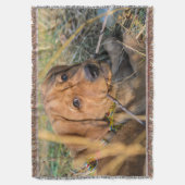 Labrador Retriever Deken (Voorkant Verticaal)