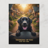 Labrador Retriever Denkt Aan Jou Postkaart (Voorkant)