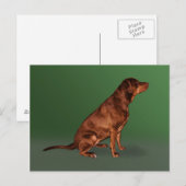 Labrador Retriever Dog Briefkaart (Voorkant / Achterkant)