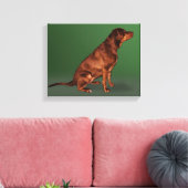 Labrador Retriever Dog Canvas Print (Insitu (Woonkamer))