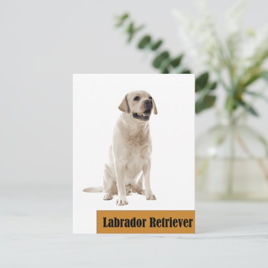 Labrador Retriever Dog foto Briefkaart (Staand voorkant)