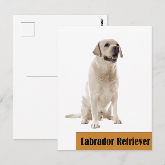 Labrador Retriever Dog foto Briefkaart (Voorkant / Achterkant)