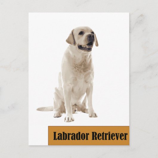 Labrador Retriever Dog foto Briefkaart (Voorkant)