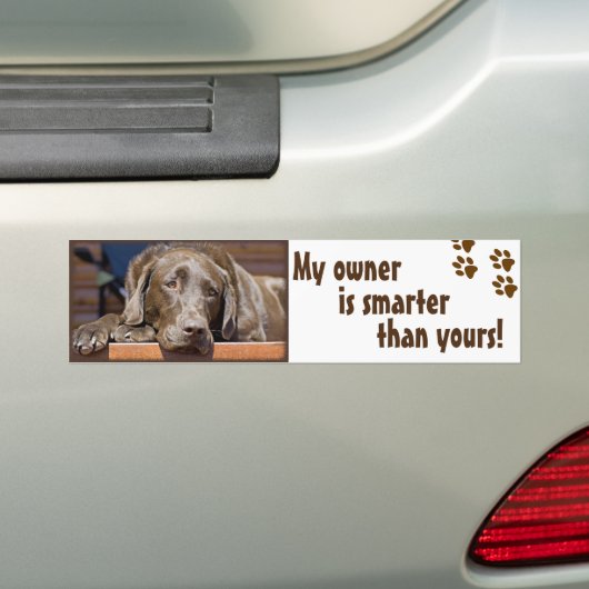 Labrador Retriever Dog Foto Funny Sjabloon Bumpersticker (Op auto)