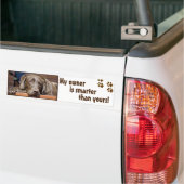 Labrador Retriever Dog Foto Funny Sjabloon Bumpersticker (Op Truck)