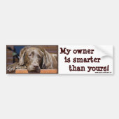 Labrador Retriever Dog Fotografie Funny Bumpersticker (Voorkant)