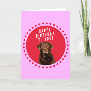 Labrador Retriever Dog Happy Birthday Kaart