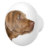 Labrador Retriever Dog,  Keramische Knop (Rechts)