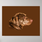 Labrador Retriever Dog, Poster (Voorkant)