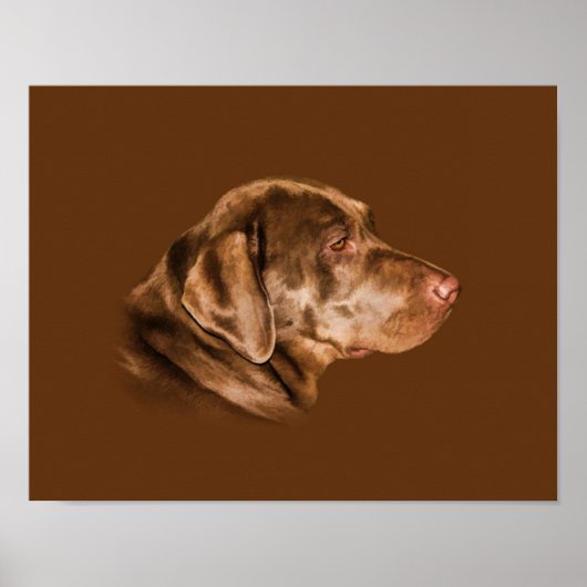 Labrador Retriever Dog,  Poster (Voorkant)