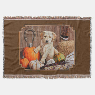 Labrador Retriever Dog & Pumpkins Brown Deken
