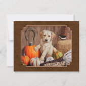 Labrador Retriever Dog & Pumpkins Brown Kaart (Voorkant)