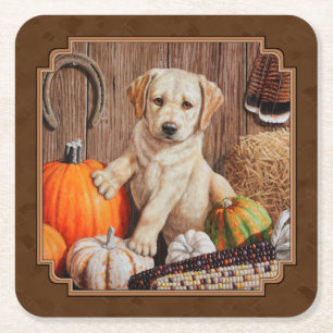 Labrador Retriever Dog & Pumpkins Brown Kartonnen Onderzetters