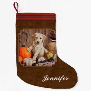 Labrador Retriever Dog & Pumpkins Brown Kleine Kerstsok