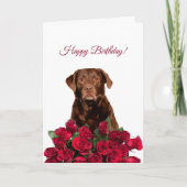 Labrador Retriever Dog Rozen Happy Birthday Kaart (Voorkant)