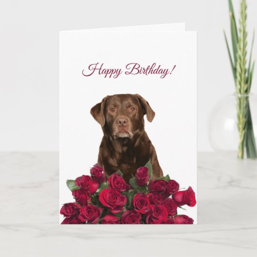 Labrador Retriever Dog Rozen Happy Birthday Kaart (Voorkant)