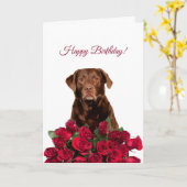 Labrador Retriever Dog Rozen Happy Birthday Kaart (Gele Bloem)