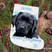 Labrador Retriever Dog Schattige Sneeuwpuppy Kleine Kerstsok