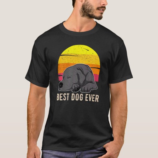 Labrador Retriever Dog Sunset 57 T-shirt (Voorkant)