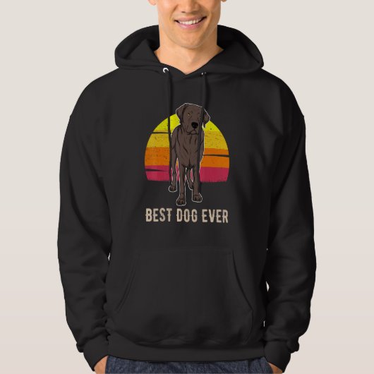 Labrador Retriever Dog Sunset 8 Hoodie (Voorkant)