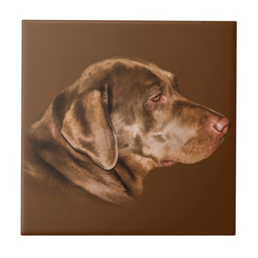 Labrador Retriever Dog, Tile,  Tegeltje (Voorkant)