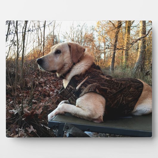 Labrador Retriever Duck Hunter's ultimate Weapon C Fotoplaat (Voorkant)