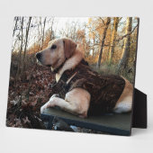 Labrador Retriever Duck Hunter's ultimate Weapon C Fotoplaat (Zijkant)