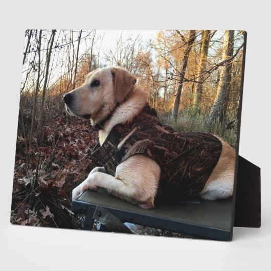 Labrador Retriever Duck Hunter's ultimate Weapon C Fotoplaat (Zijkant)