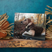 Labrador Retriever Duck Hunter's ultimate Weapon C Fotoplaat (Zijkant)