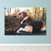 Labrador Retriever Duck Hunter's ultimate Weapon Canvas Afdruk (Insitu (Houten vloer))
