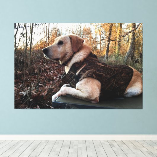 Labrador Retriever Duck Hunter's ultimate Weapon Canvas Afdruk (Insitu (Houten vloer))