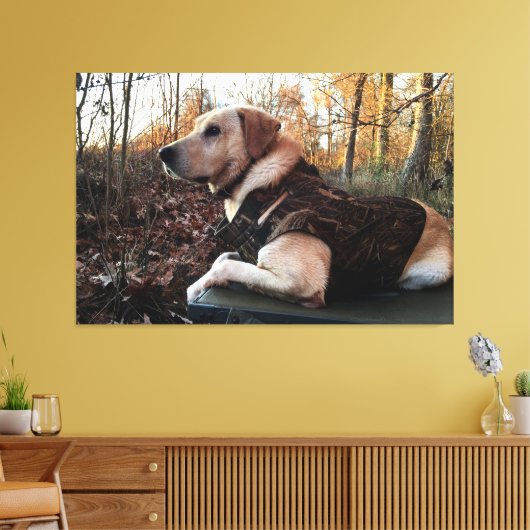 Labrador Retriever Duck Hunter's ultimate Weapon Canvas Afdruk (Insitu (Woonkamer))
